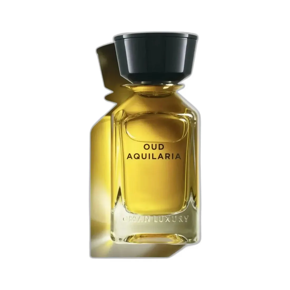 Oman Luxury Oud Aquilaria EDP